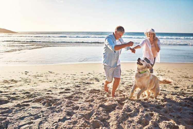 A couple and their dog play on the beach